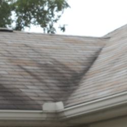 Roof Mold Regina Roofing Companies