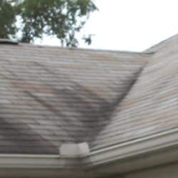 Roof Mold Regina Roofing Companies