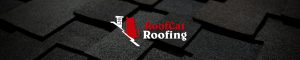 Roof Cat Roofing Regina