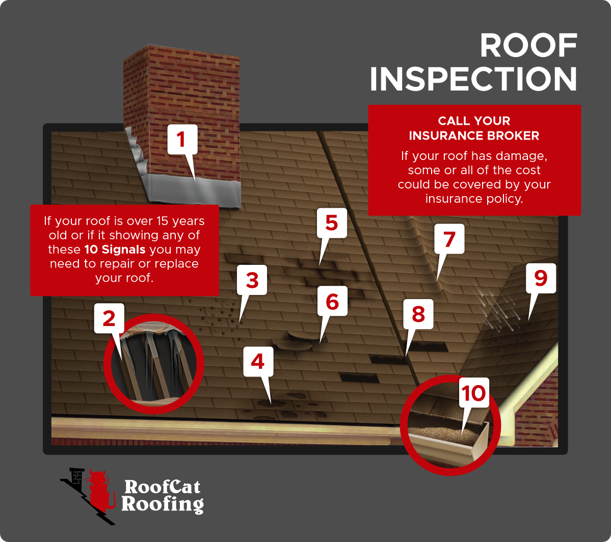 Regina Roof Inspections Roof Cat Roofing